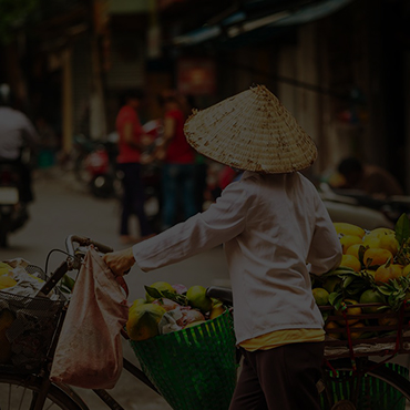 Conheça os nossos produtos